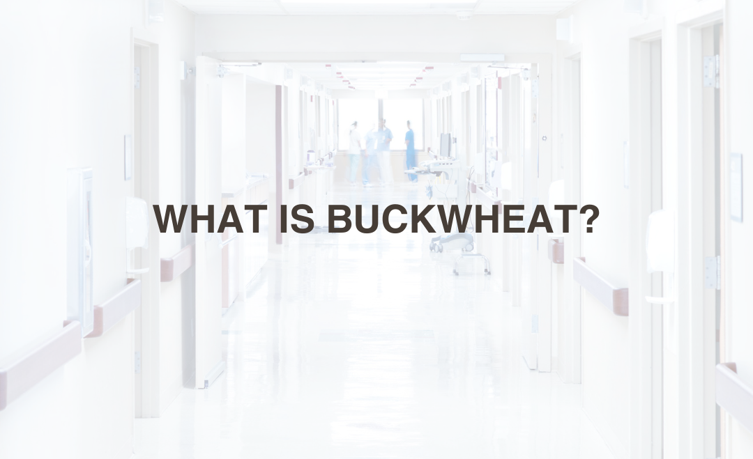 What is Buckwheat?
